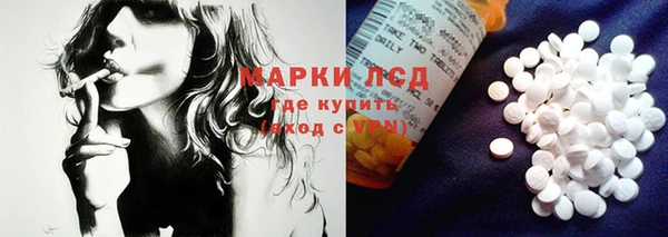 соль ск Белокуриха