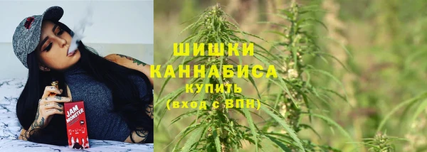 соль ск Белокуриха