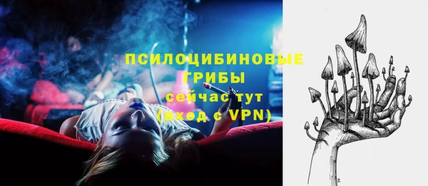 соль ск Белокуриха