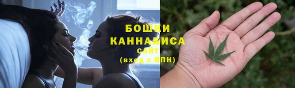 соль ск Белокуриха