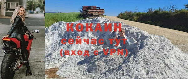 соль ск Белокуриха