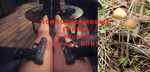 соль ск Белокуриха