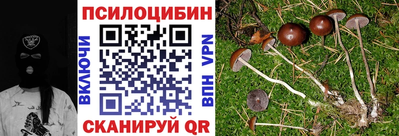 Галлюциногенные грибы мухоморы  даркнет сайт  mega ссылка  Санкт-Петербург 